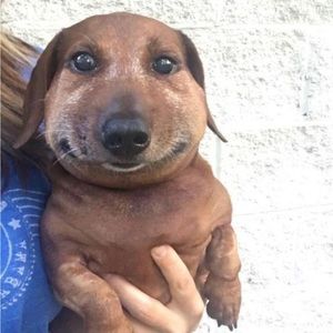 Meet your Posher, Angelica